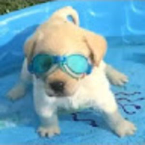 Meet your Posher, Marion